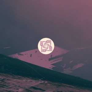 Tools-of-the-Trade-Euglossine