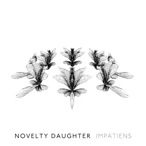 Novelty Daughter_Still Warm