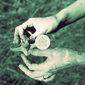 Residency-Cross-Record2