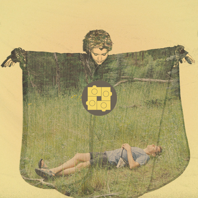 Photo-Essay--Conifer